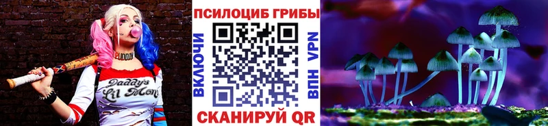 Галлюциногенные грибы мицелий  Далматово 